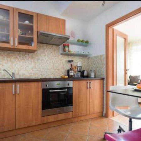 Old Town Apartment Pellicova Brno Dış mekan fotoğraf