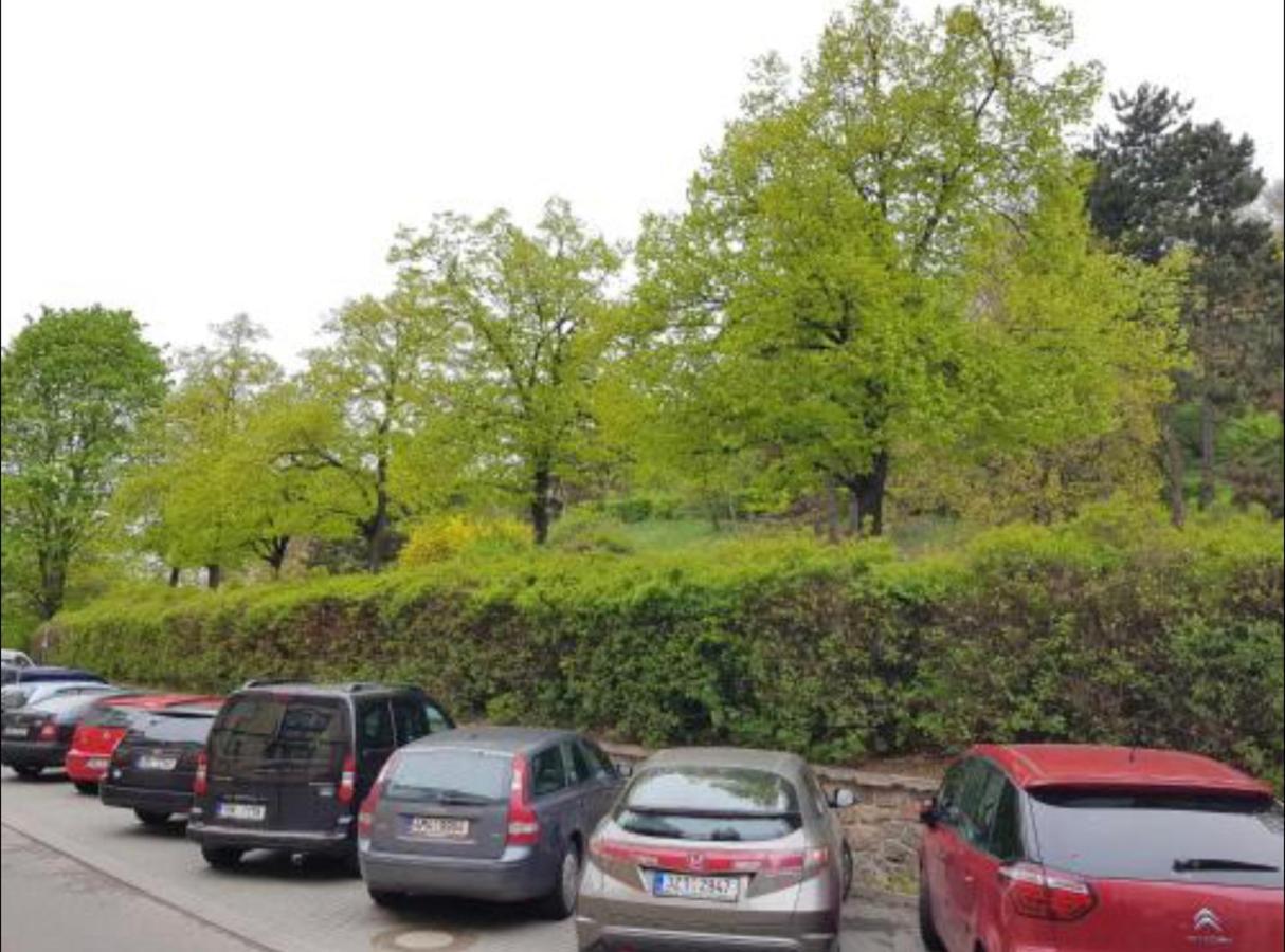 Old Town Apartment Pellicova Brno Dış mekan fotoğraf