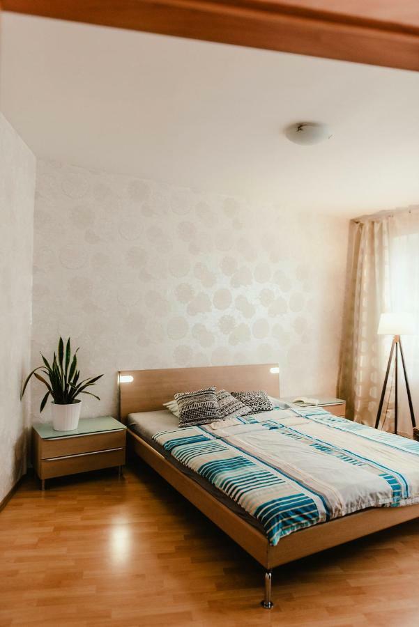 Old Town Apartment Pellicova Brno Dış mekan fotoğraf