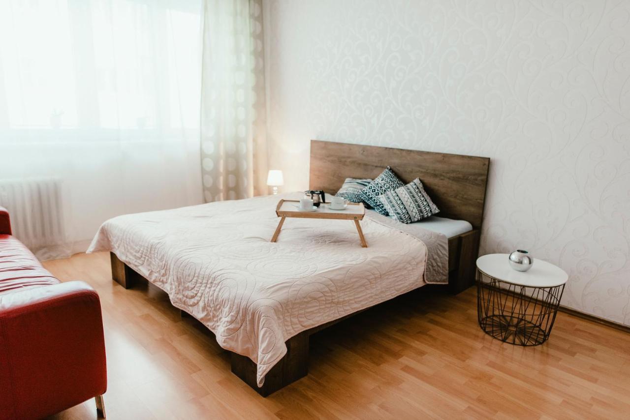 Old Town Apartment Pellicova Brno Dış mekan fotoğraf