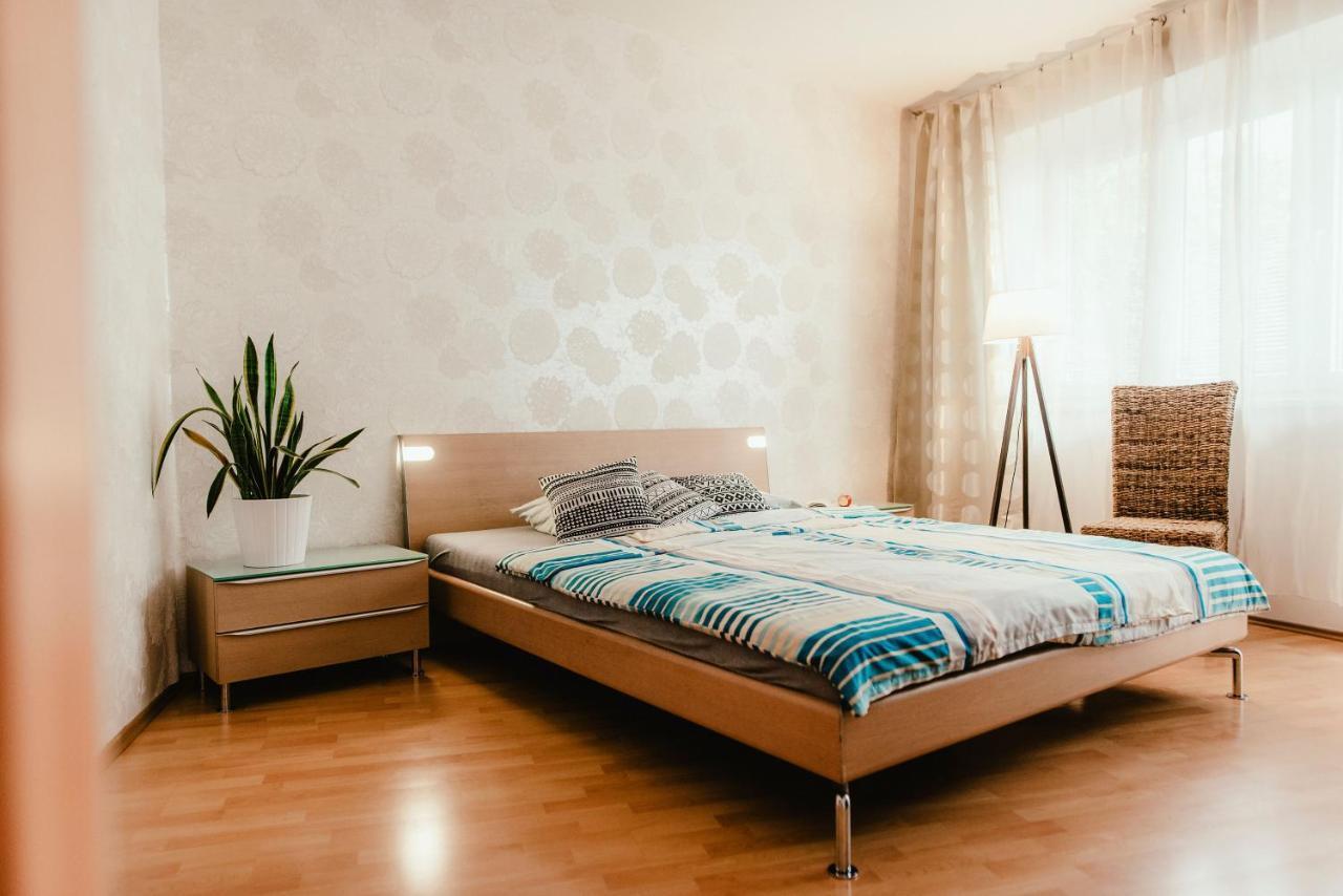 Old Town Apartment Pellicova Brno Dış mekan fotoğraf