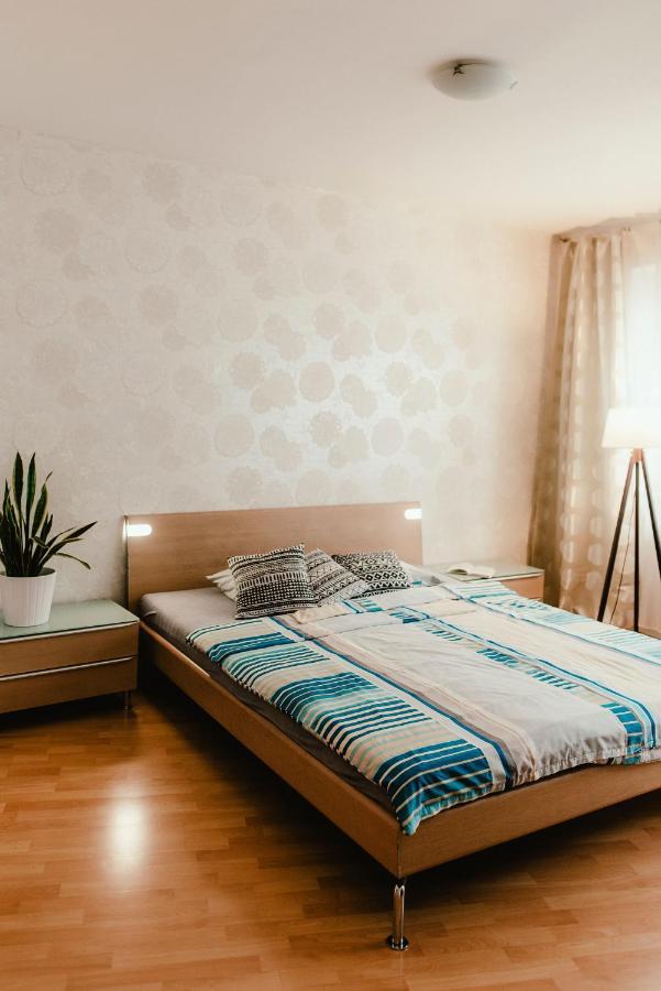 Old Town Apartment Pellicova Brno Dış mekan fotoğraf